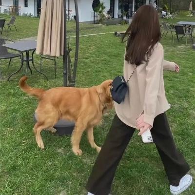小丑的眼泪